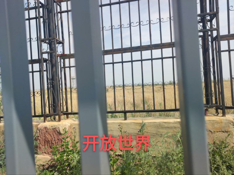 赛里斯原神，启动！赛里斯原神，启动！