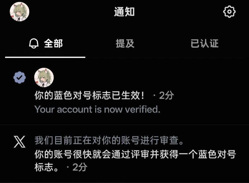 我开了 X Premium!